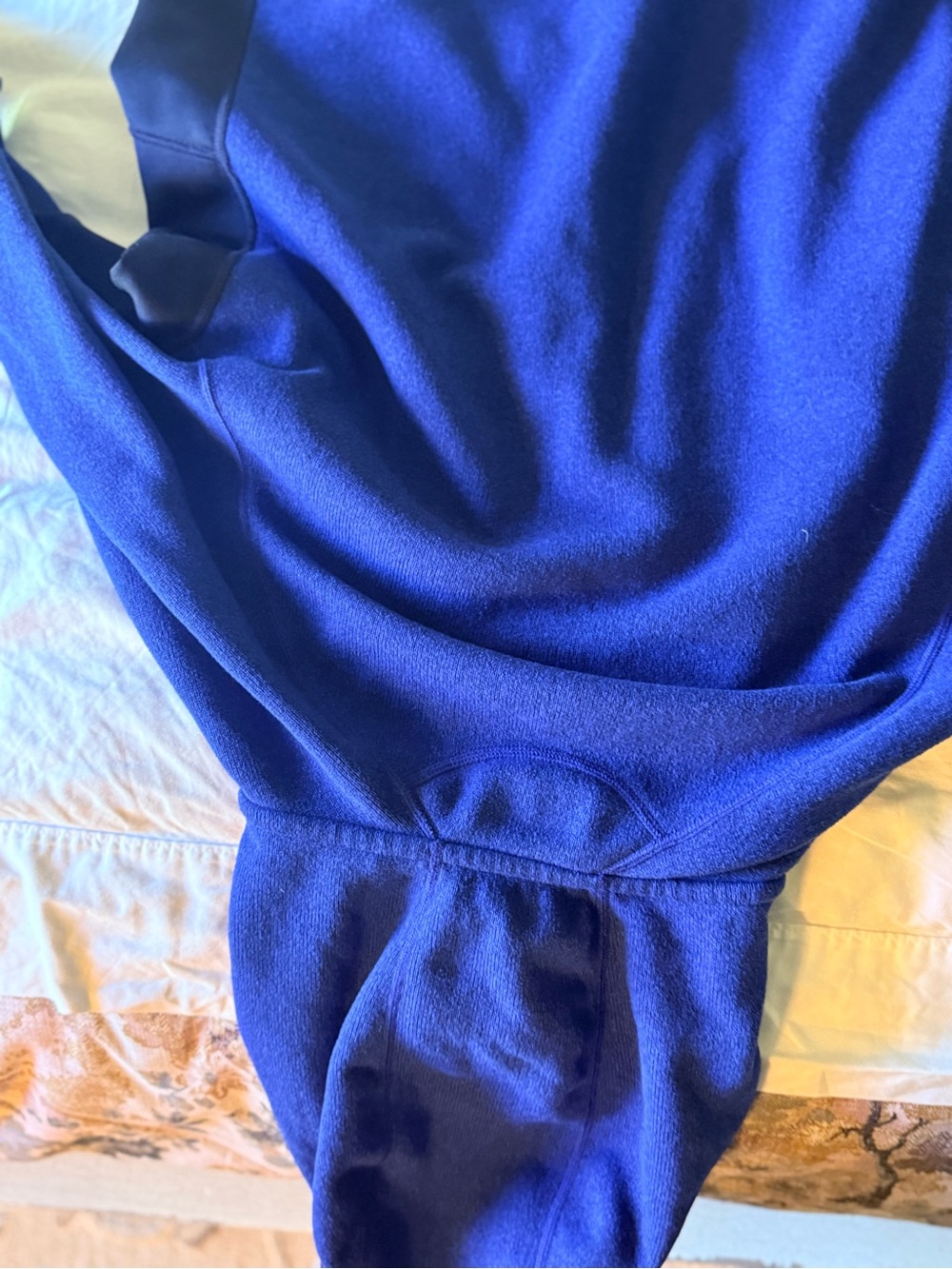 Patagonia Hooded Better Sweater Jacket in Royal Blue